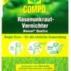 Compo Rasenunkraut-Vernichter Banvel Quattro - 10 Ml