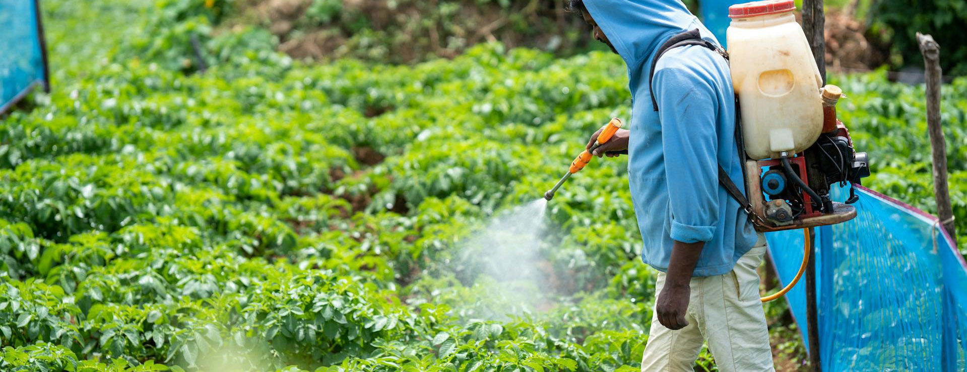 Titelseite -Garten und Außenbereich pexels dinukagunawardana 17903068