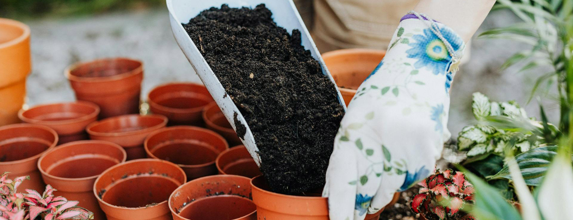 Titelseite -Garten und Außenbereich pexels karolina grabowska 4750385